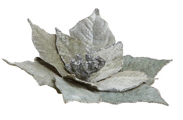 Obraz premium Christmas leaf bouquet with snow glitter cut out isolated transparent background
