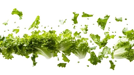 Obraz premium Falling Lettuce isolated on a white background