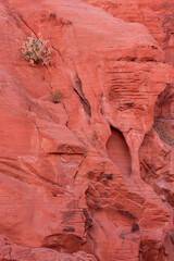 A rock wall with a small plant growing out of it