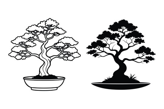 bonsai tree in a pot