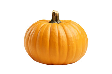 Obraz premium Organic Pumpkin with Detail