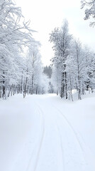 Obraz premium Snowy path through winter forest, ski tracks, tranquil background, winter wonderland travel poster.