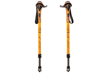 Ski Poles Designed for Summer Use