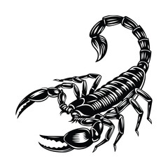 Abstract illustration scorpion isolated on white background