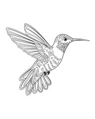 Obraz premium Hummingbird printable coloring page for kids, bird coloring book
