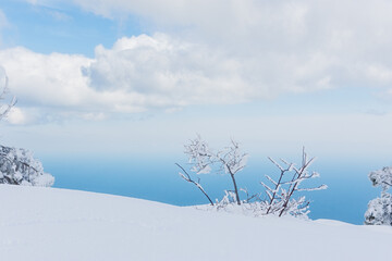 Panorama of a winter landscape with a snow-covered pine forest in the mountains. Charming fabulous view of the pine tree. The concept of winter holidays, travel, adventure and outdoor activities.