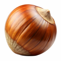 A single hazelnut is shown in its natural form, with its smooth, textured shell. The nut is isolated on a transparent background, emphasizing its rich color and distinct shape.