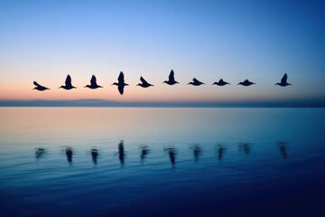 Birds fly gracefully over calm water at sunset reflecting a tranquil sky and nature's beauty