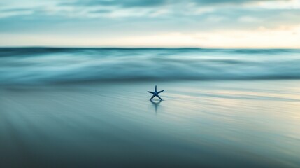 Fototapeta premium Lone starfish on a tranquil beach at sunset.