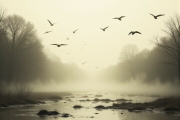 Obraz premium Flocks of birds flying over a misty wetland surrounded by trees
