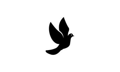 illustration of a bird