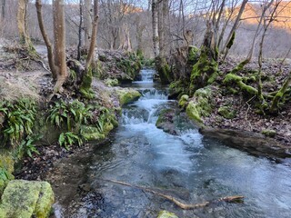 river in the forest of Bad Urach Germany near the waterfall