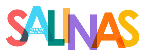 SALINAS. The name of the city on a white background. Vector design template for poster, postcard, banner