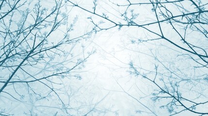 Fototapeta premium Springtime tranquility with delicate blooming branches in serene blue hues ideal for eco-friendly designs and nature-themed projects.