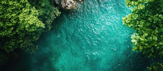 Emerald green water surrounded by lush foliage showcasing nature's beauty with ample space for text overlay