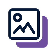 photo icon. vector  dual tone icon for your website, mobile, presentation, and logo design.