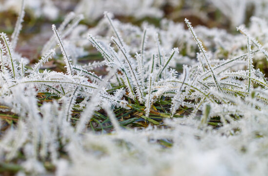 A field of grass covered in frost