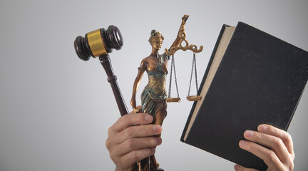 Lawyer holding Judge gavel, Lady Justice Statue, book.