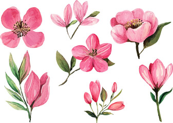 seamless pattern with pink flowers