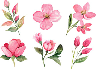set of pink flowers