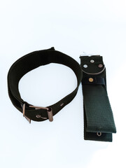 Obraz premium Dog Collar Dog Belt