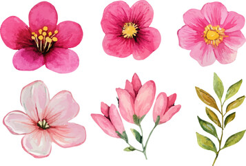 collection of flowers