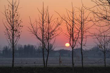 Fototapety na wymiar - Fototapeta24.pl