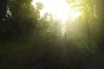 morning in the village 