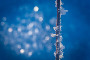 close shot of ice crystals in a wonderful winterwonderland in Austria
