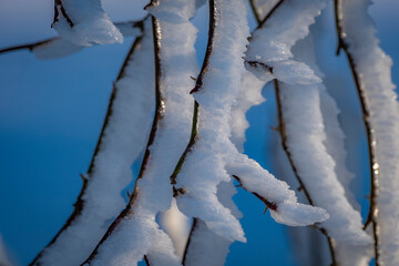 snow and ice in a wonderful winterwonderland in Austria