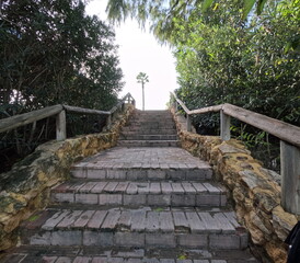 Stone stairway in a natural park leading upward between lush green bushes, rustic wooden handrails and textured rock walls, with a single palm tree visible