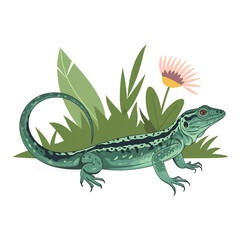 Fototapeta premium lizard illustration isolated on white background