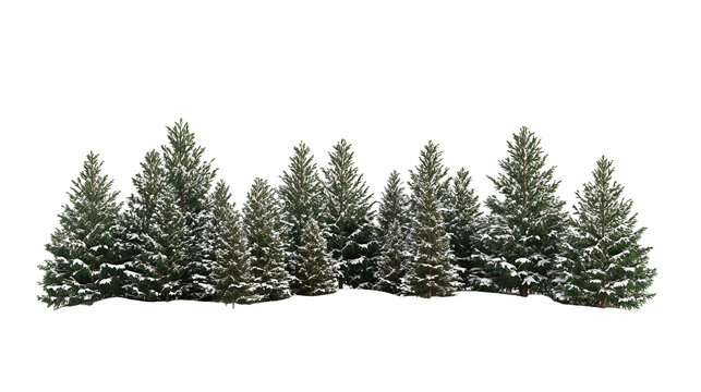 SnowCovered Evergreen Trees Winter Landscape Nature Scene - Powered by Adobe