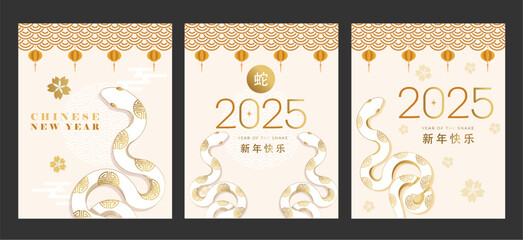 Chinese new year 2025 year of the Snake Gold Snake vertical design cards story templates Mobile