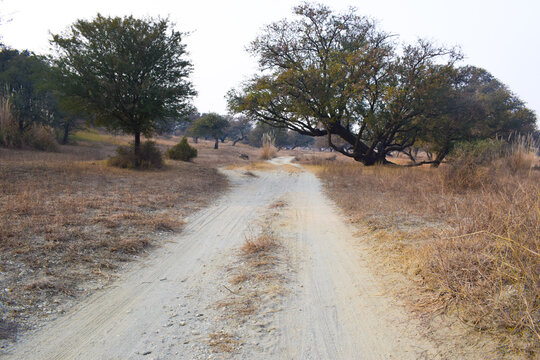 Green grass grow on center dirt way, Dry Road like Desert Mud in Summer Time Sunny Weather with Mian hadi baba, Beautiful autumn landscape in the steppe. Yellow trees and grass. Blue sky. Country road