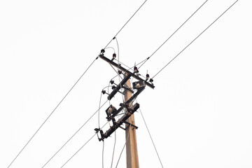 Electrical power lines and towers at sunset.Electricity pylon isolated on white, sky background,...