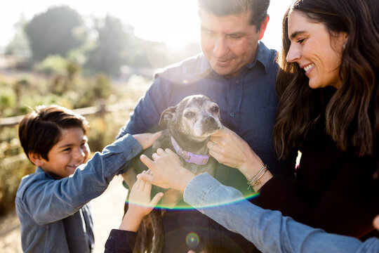 Little Graying Dog Getting Some Love From Family in San Diego