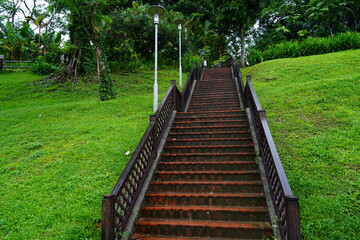 Obraz premium wooden bridge in the forest