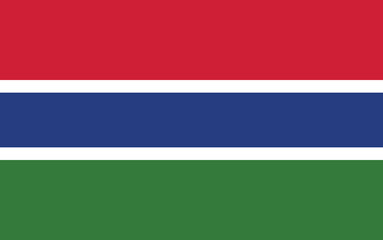

Vector Gambia National Flag icon. Flag design of Gambia.