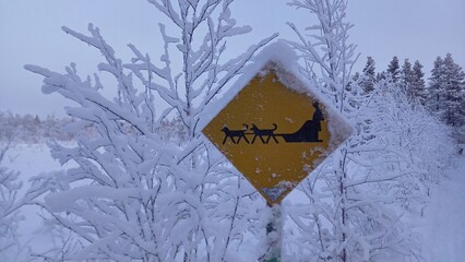 A yellow traffic sign warning of a sled with dogs or sled dogs in a winter landscape with snow. 150 km above the Arctic Circle at 67&deg; North, Kangos, Swedish Lapland, Sweden