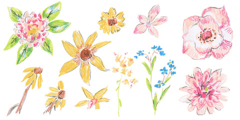 Floral clip art drawn with wax crayons on white isolated background. Children's collection of botanical illustrations with oil pastels. Design for postcards, stickers, social media, posters.