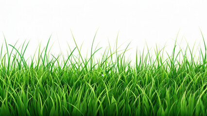 Fototapeta premium Lush green grass swaying gently under sunlight in a bright outdoor setting