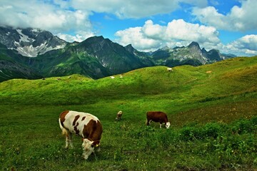 Austrian Alps - view from the Sonnenjet-Auenfeld chairlift station in the Lechtal Alps