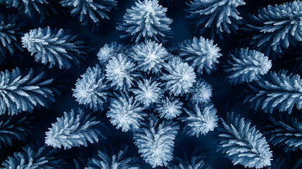 Aerial View of Snow-Covered Pine Trees Creates a Stunning Winter Landscape in the Forest