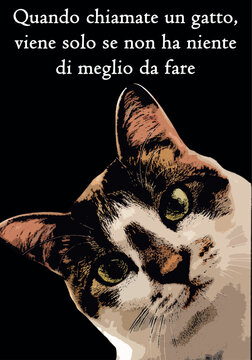 Quando chiamate un gatto, viene solo se non ha niente di meglio da fare