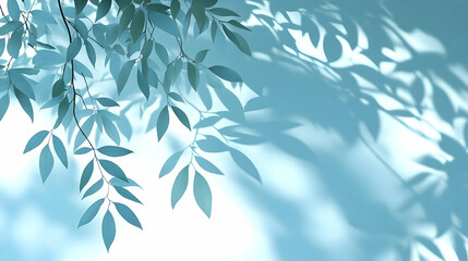 Leaves Cast Shadows on Blue Background Peacefully and Gently