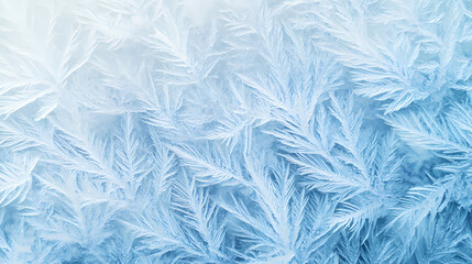 Obraz premium Frozen Fractal: Delicate ice crystals form an intricate, mesmerizing pattern, a study in cool blue hues and natural artistry.