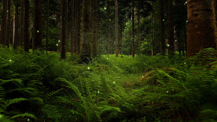 Obraz premium ern plant woods with green flying firefly.