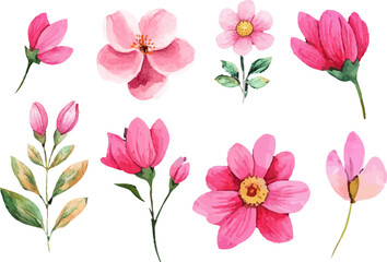 pink and white flowers