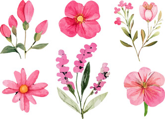 set of pink flowers